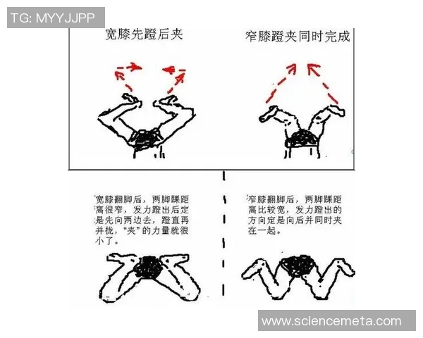 蛙泳训练技巧与体能提升方法全面解析助你突破极限成绩