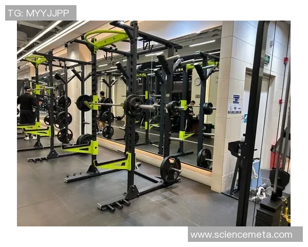 打造全方位健身体验的多功能器材推荐与使用指南