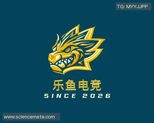 专访杨强:深入探讨足球成功背后的秘密与策略